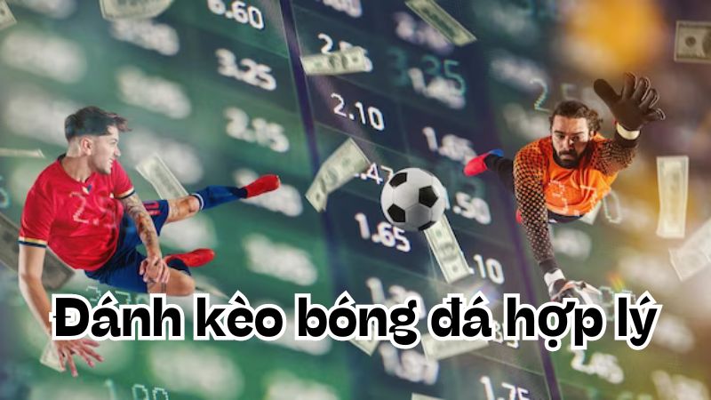 Đánh kèo bóng hợp lý